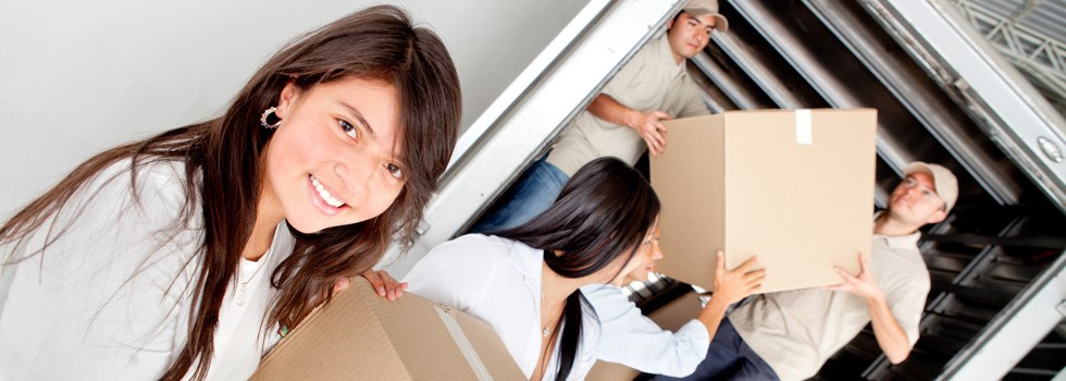 Professional Removalists Oak Valley